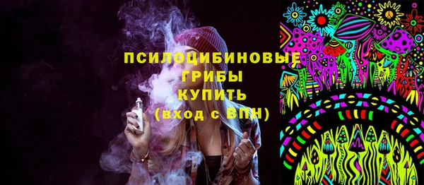 apvp Аркадак