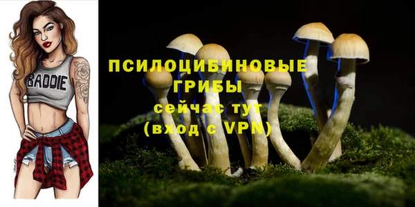 apvp Аркадак