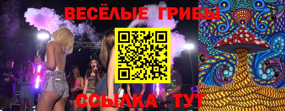 Галлюциногенные грибы мухоморы Балашиха