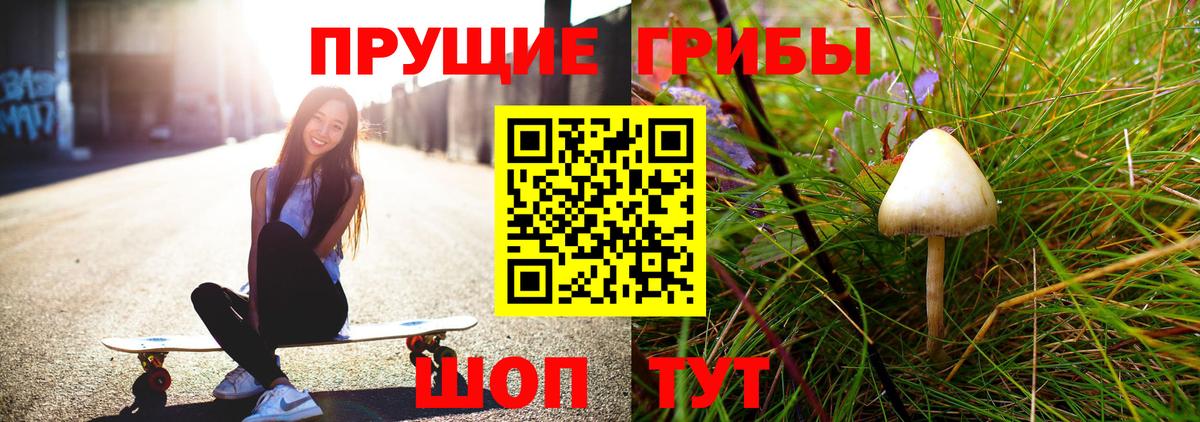 Балашиха  Псилоцибиновые грибы MAGIC MUSHROOMS  Вход с VPN 